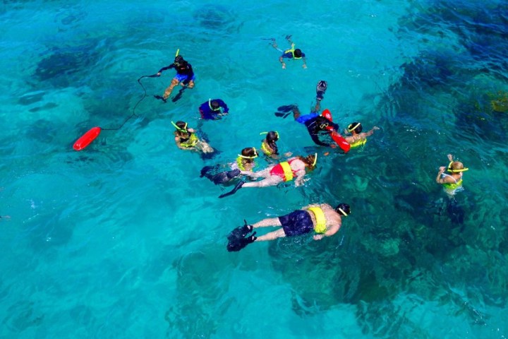 a group of people swimming in a pool of water
