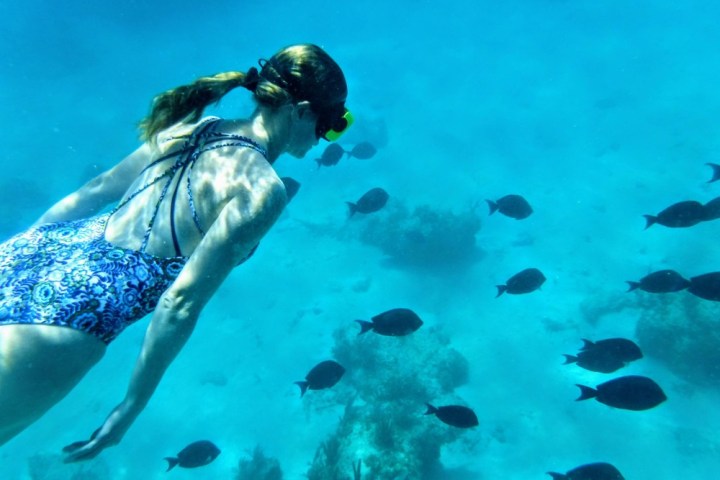 a girl swimming with small fishes