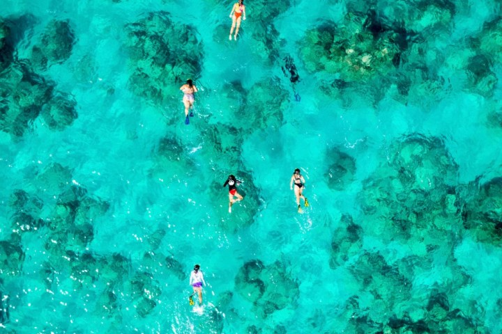 A group of people snorkeling on a clear turquoise water