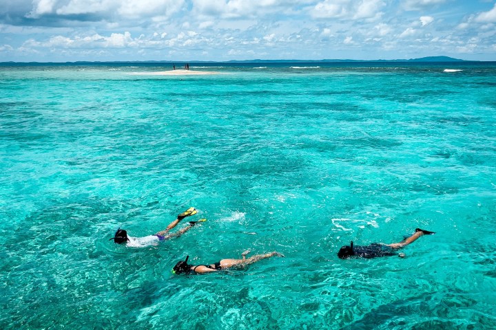 a group of people swimming in a body of water