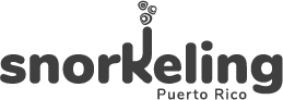 a close up of snorkeling puerto rico logo