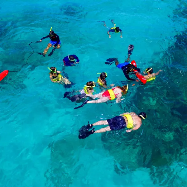 Group of snorkelers in clear blue water near coral reef.