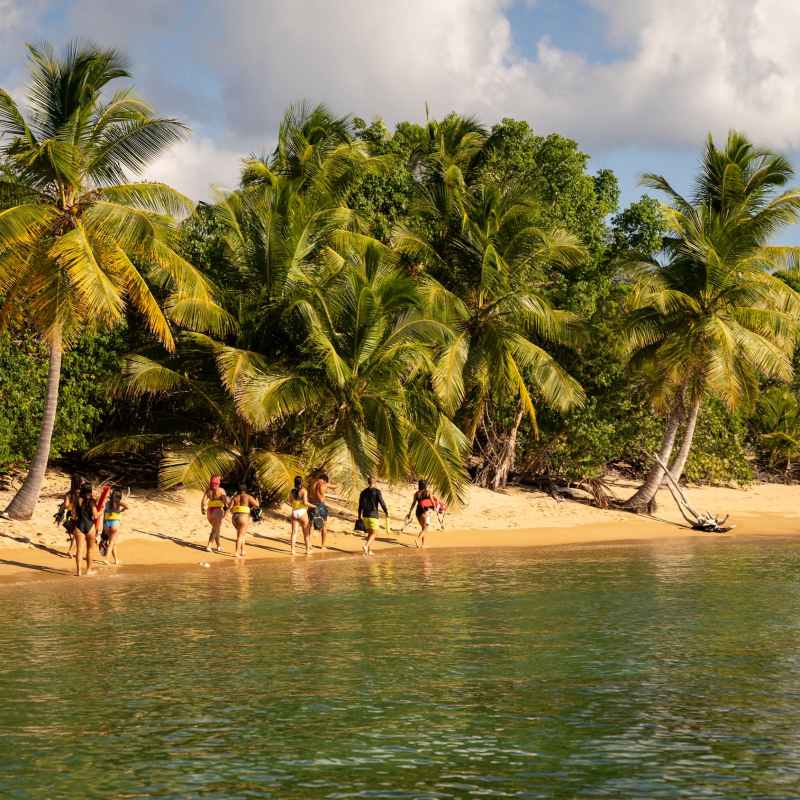 People walking on a tropical beach with palm trees and greenery.