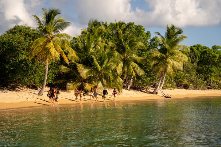 People walking on a tropical beach with palm trees and clear skies.