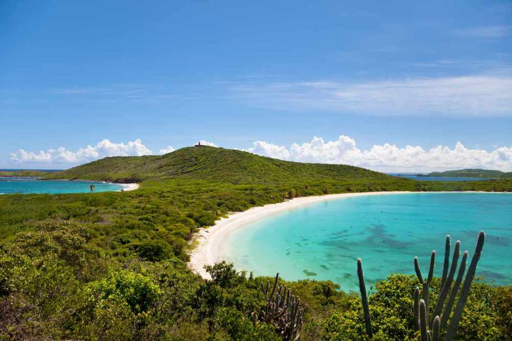 Tropical beach with white sand, lush greenery, and turquoise water under a clear blue sky.