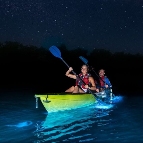 Two people kayaking on bioluminescent water under a starry sky at night.