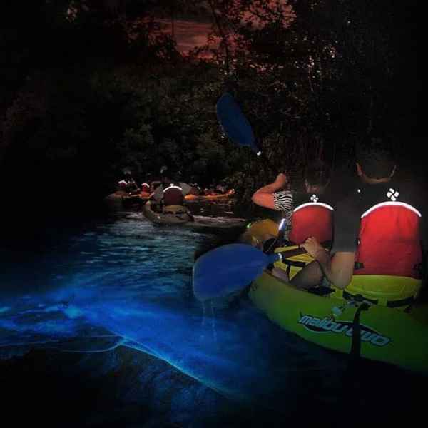 Kayakers in bioluminescent water at night, with glowing blue patterns.