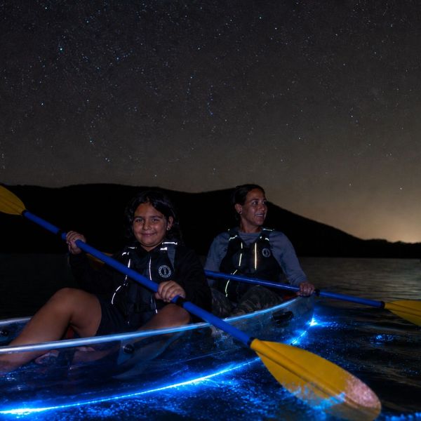 People paddle transparent kayaks glowing at night on a starry lake.