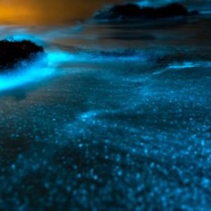 Bioluminescent blue waves glowing on a sandy beach at night.
