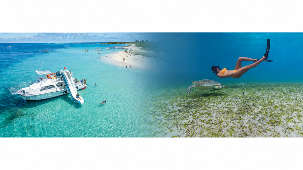 Boat with slide near beach; woman snorkeling underwater with sea turtle.