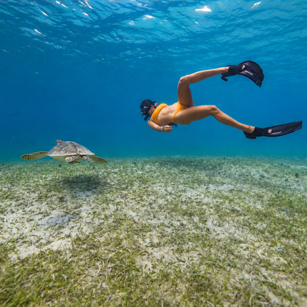 Person snorkeling near a sea turtle underwater.