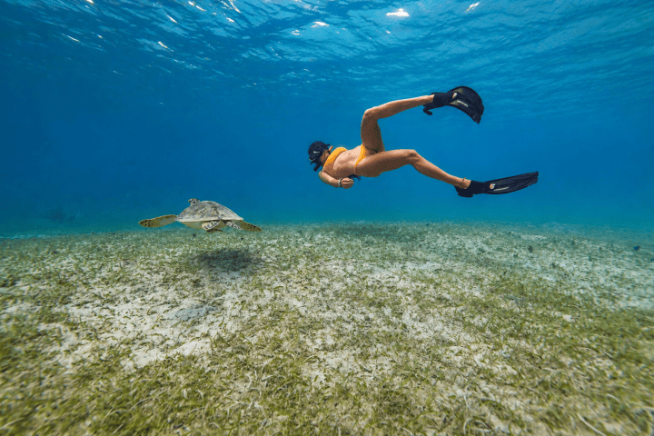 Person snorkeling near a sea turtle underwater.